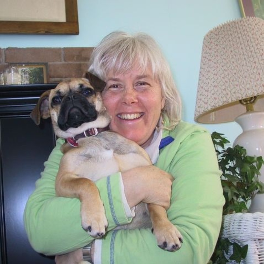 Meet your Posher, Gracie